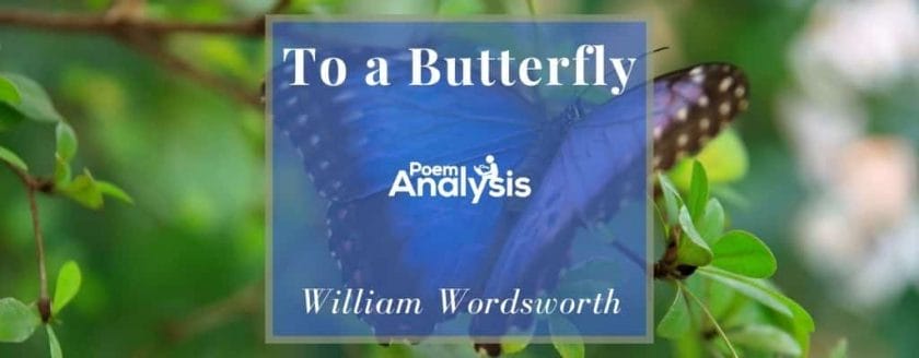 To a Butterfly by William Wordsworth