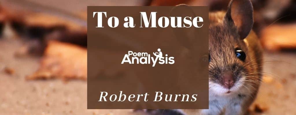 To a Mouse by Robert Burns - Poem Analysis