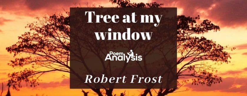 Tree At My Window by Robert Frost