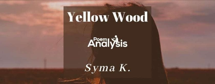 Yellow Wood by Syma K.
