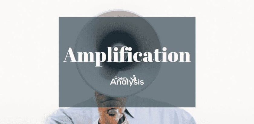Amplification definition and examples