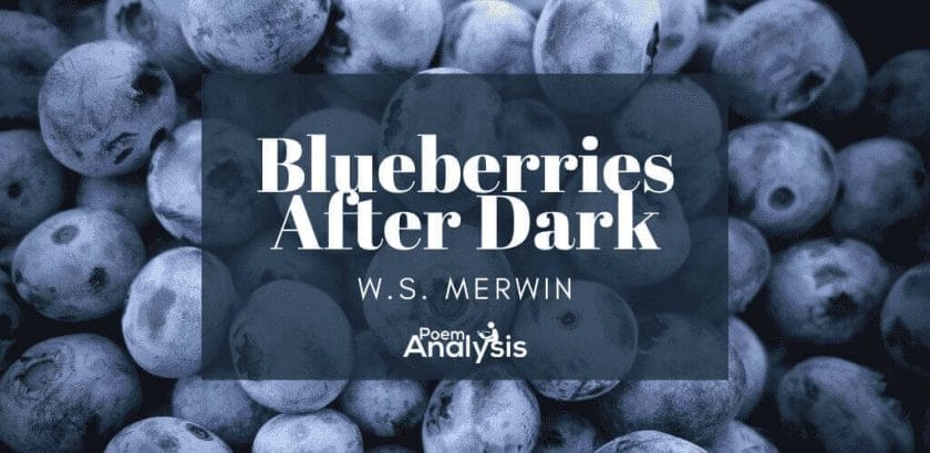 Blueberries After Dark by W.S. Merwin