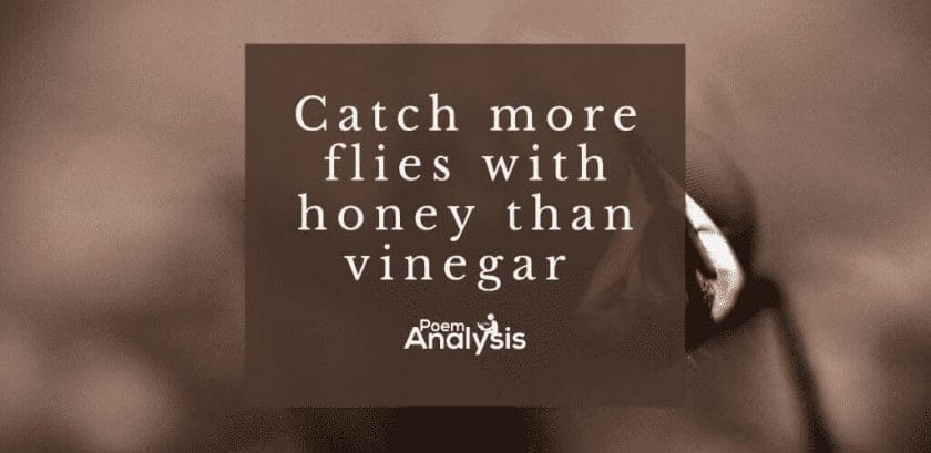 You can catch more flies with honey than vinegar