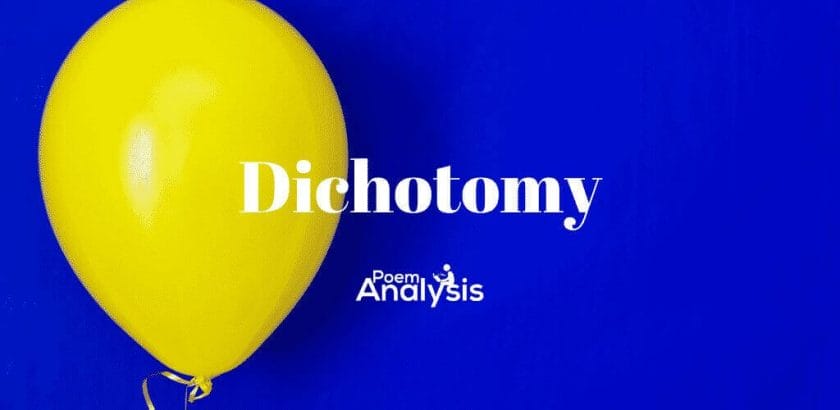 Dichotomy definition and examples