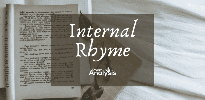 Internal Rhyme definition and examples 
