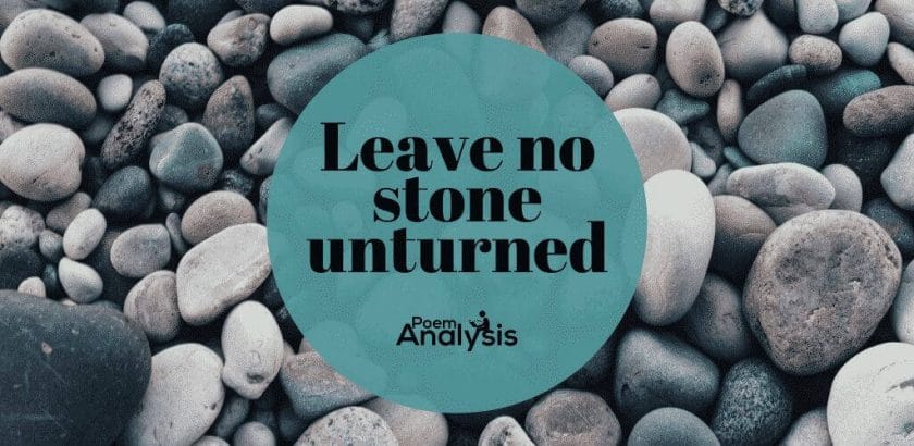 Leave no stone unturned definition and meaning