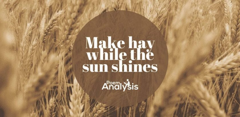 Make hay while the sun shines meaning