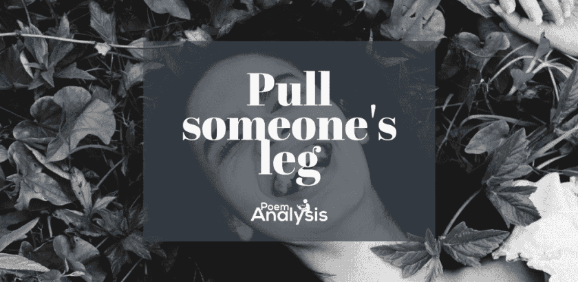 Pulling someone’s leg meaning
