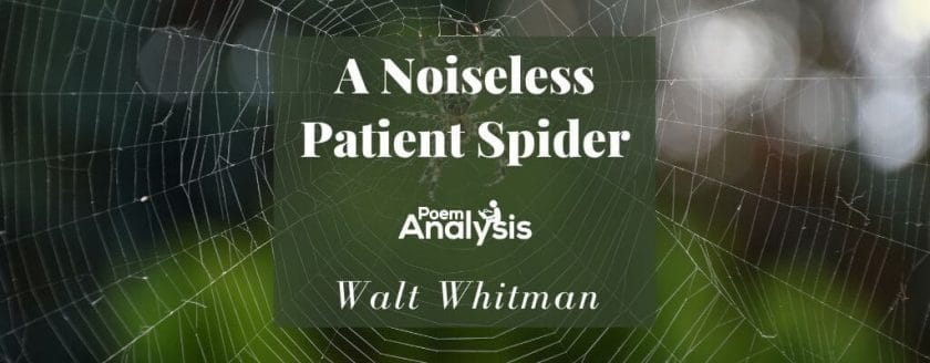 A Noiseless Patient Spider by Walt Whitman