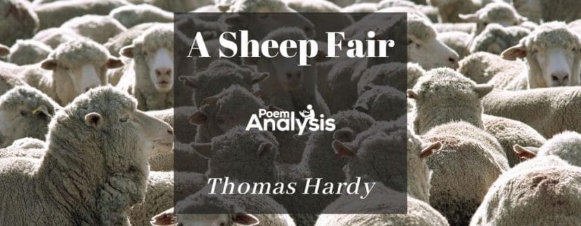 A Sheep Fair by Thomas Hardy