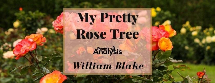 My Pretty Rose Tree by William Blake