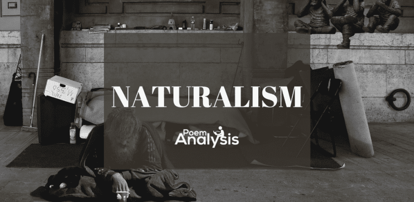 Naturalism definition and examples