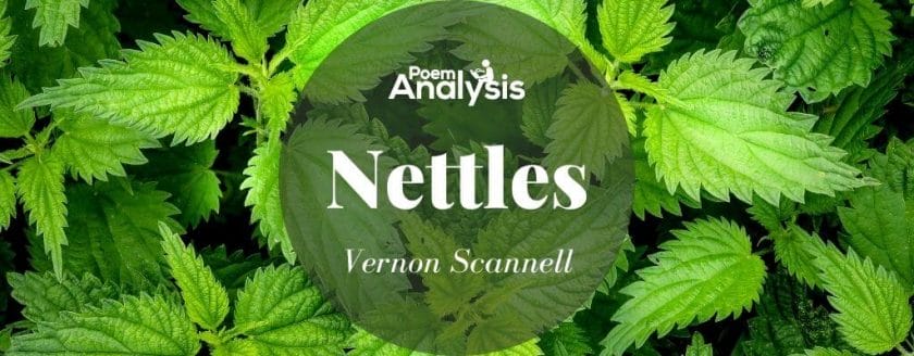 Nettles by Vernon Scannell