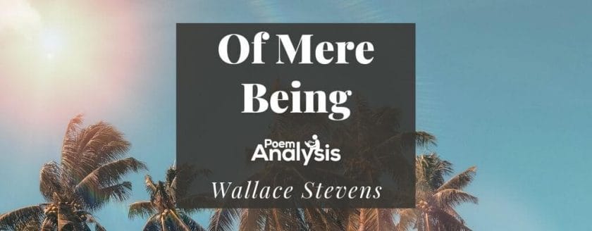 Of Mere Being by Wallace Stevens