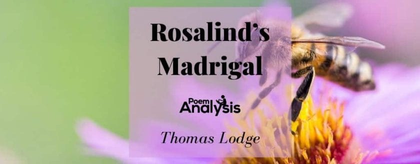 Rosalind's Madrigal by Thomas Lodge