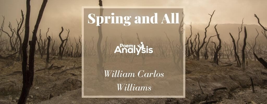 william carlos williams the use of force analysis