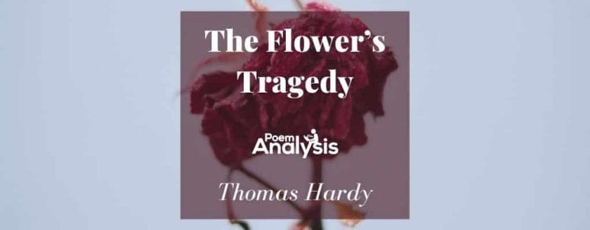 The Flower’s Tragedy by Thomas Hardy