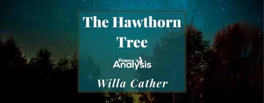 The Hawthorn Tree by Willa Cather