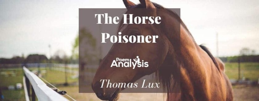 The Horse Poisoner by Thomas Lux