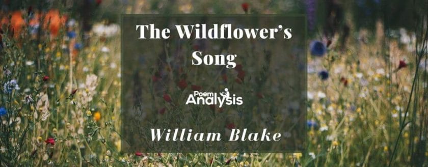 The Wildflower's Song by William Blake