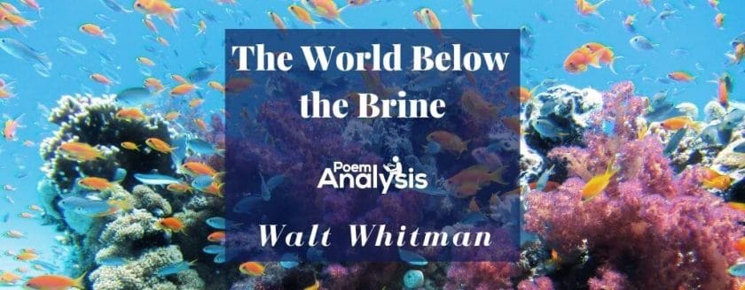 The World Below the Brine by Walt Whitman