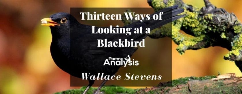 Thirteen Ways of Looking at a Blackbird by Wallace Stevens