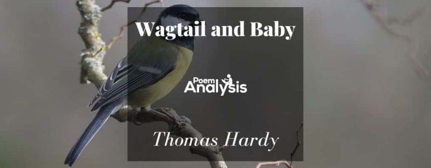 Wagtail and Baby by Thomas Hardy