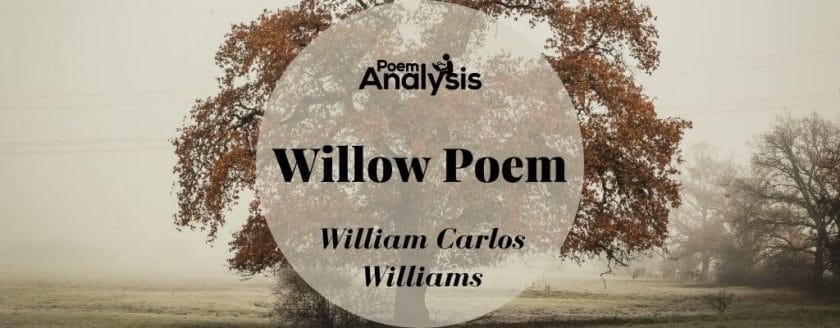 Willow Poem by William Carlos Williams