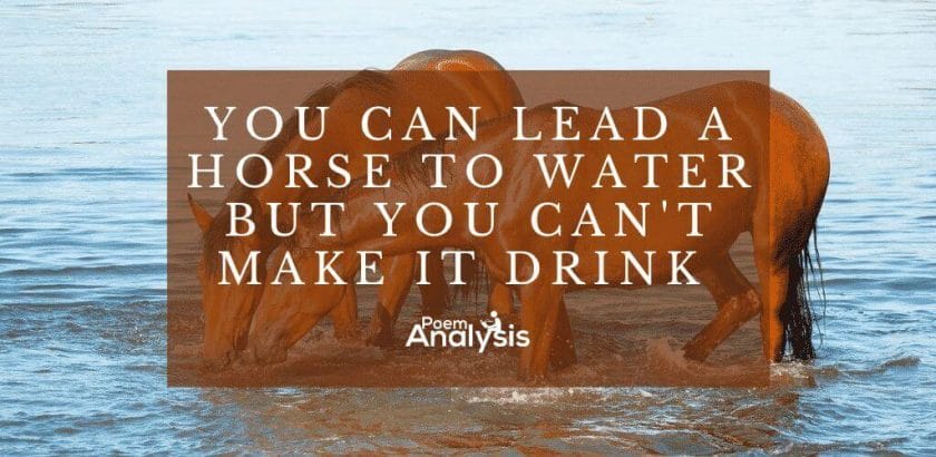 You can lead a horse to water but you can’t make it drink