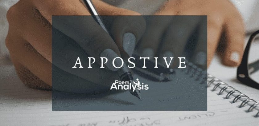 Appositive definition and examples