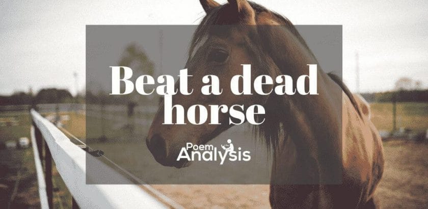 Beat a dead horse