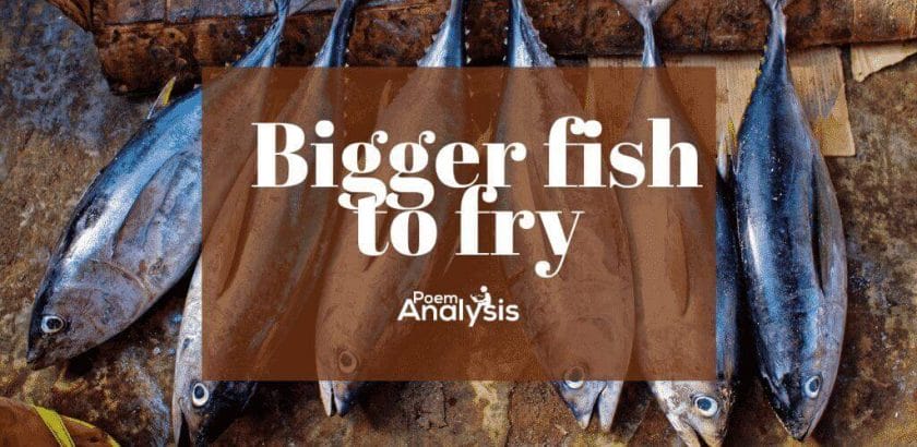 Bigger fish to fry idiom