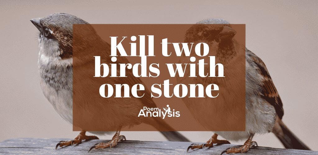 Kill two birds with one stone' meaning and origin - Poem Analysis