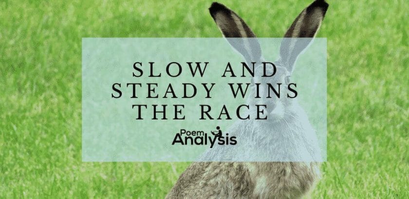 Slow and steady wins the race