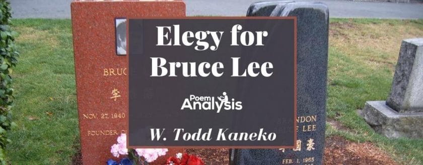 Elegy for Bruce Lee by W. Todd Kaneko