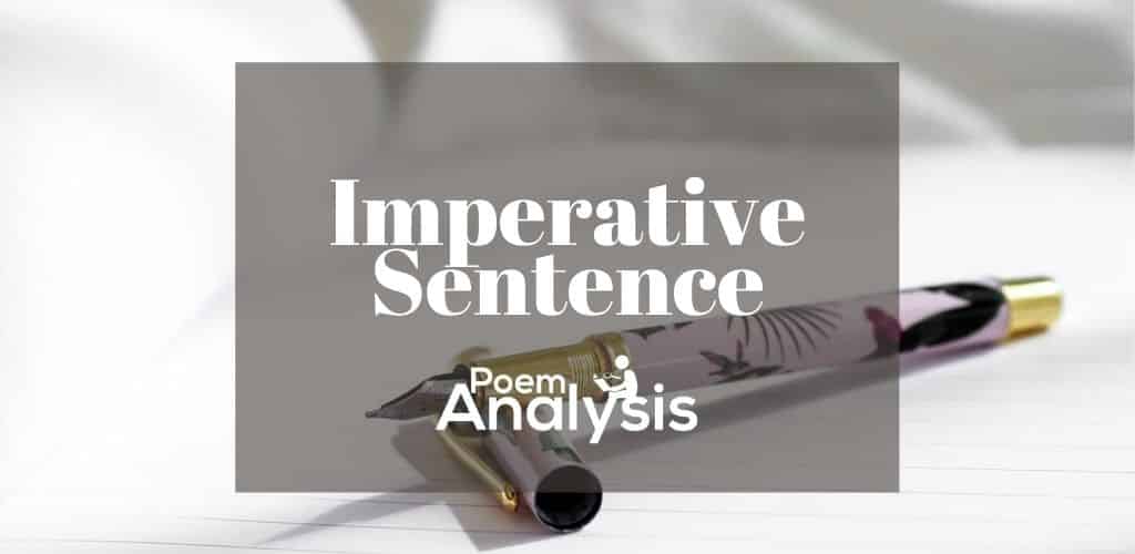 write an imperative sentence