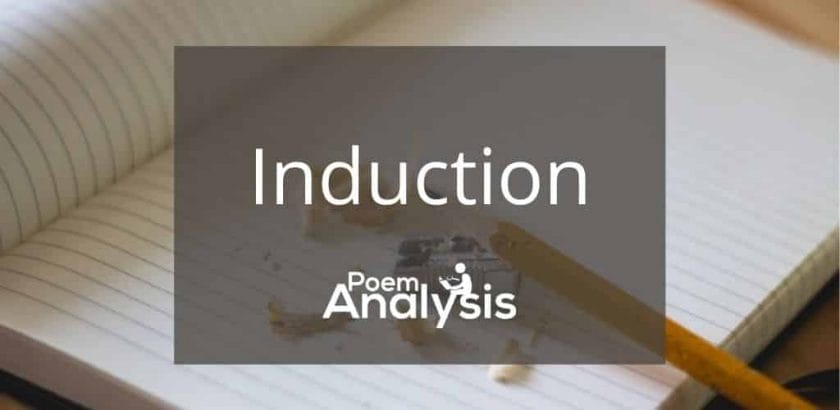 Induction definition and literary examples