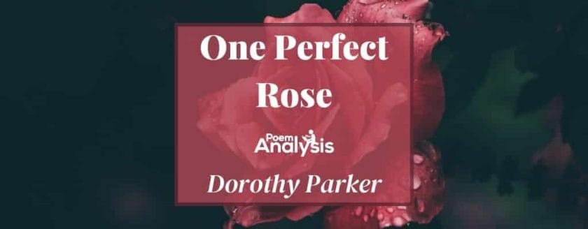 One Perfect Rose by Dorothy Parker