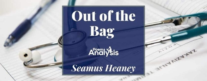 Out of the Bag by Seamus Heaney