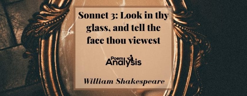 Sonnet 3 - Look in thy glass, and tell the face thou viewest by William Shakespeare