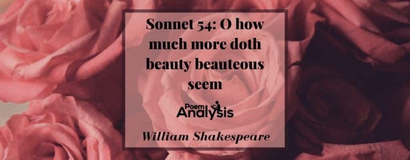 Sonnet 54 - O how much more doth beauty beauteous seem by William Shakespeare