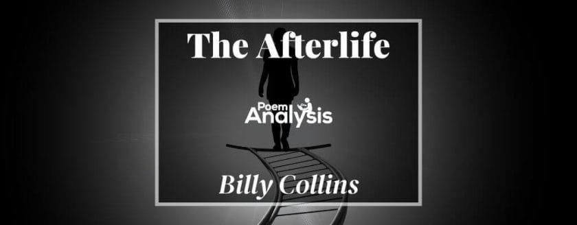 The Afterlife by Billy Collins