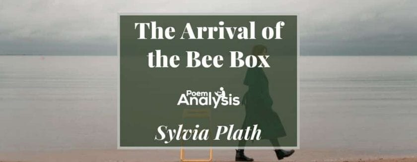 The Arrival of the Bee Box by Sylvia Plath