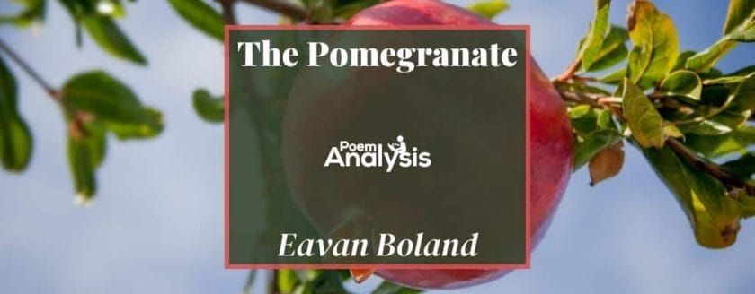 The Pomegranate by Eavan Boland