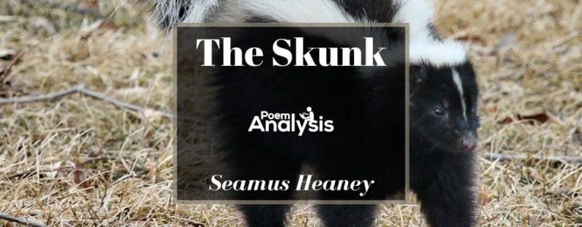 The Skunk by Seamus Heaney