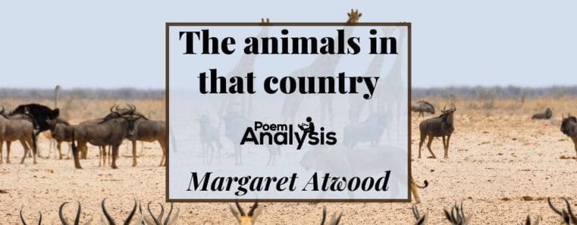 The animals in that country by Margaret Atwood