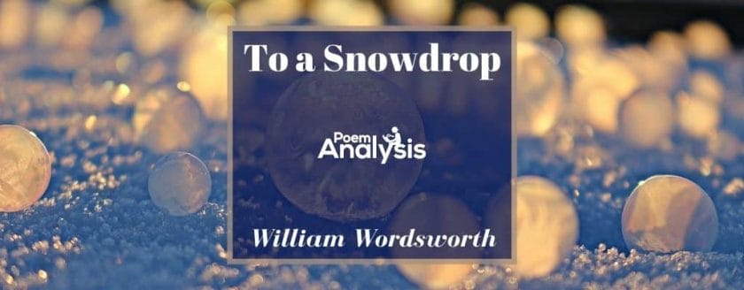 To a Snowdrop by William Wordsworth