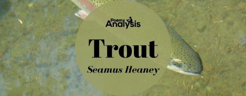 Trout by Seamus Heaney