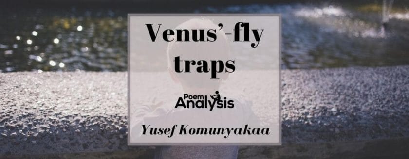 Venus’-fly traps by Yusef Komunyakaa