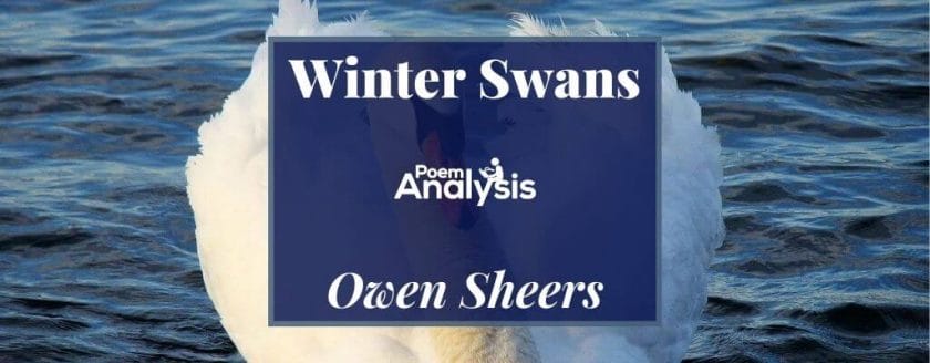 Winter Swans by Owen Sheers